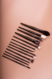 Pro Makeup Brushes Collection 13psc